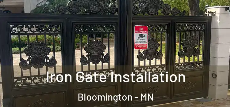 Iron Gate Installation Bloomington - MN